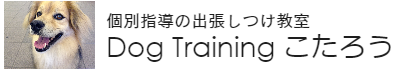 犬のしつけ教室　ドッグトレーニング こたろう　藤沢・茅ヶ崎・大和・綾瀬・泉・戸塚・寒川ほか